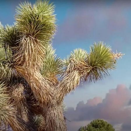 Three Tree Villa W/ Ev Charging Yucca Valley Exterior foto